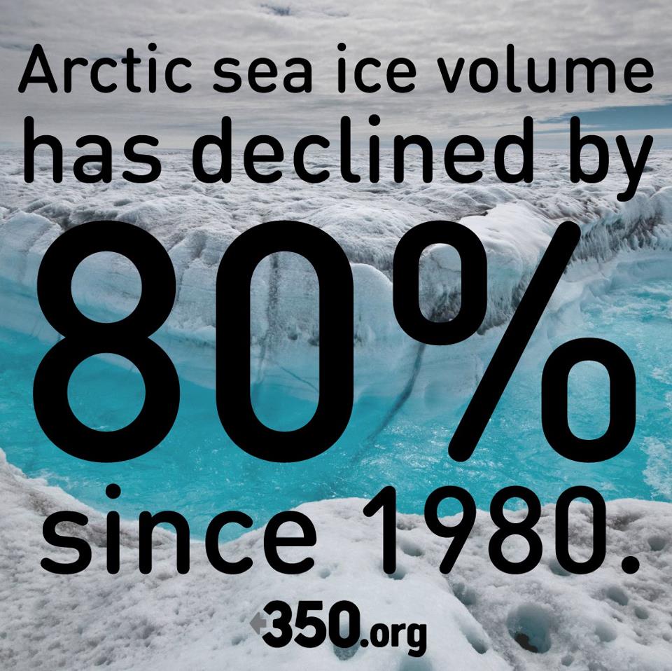 arctic sea ice decreased by 80%