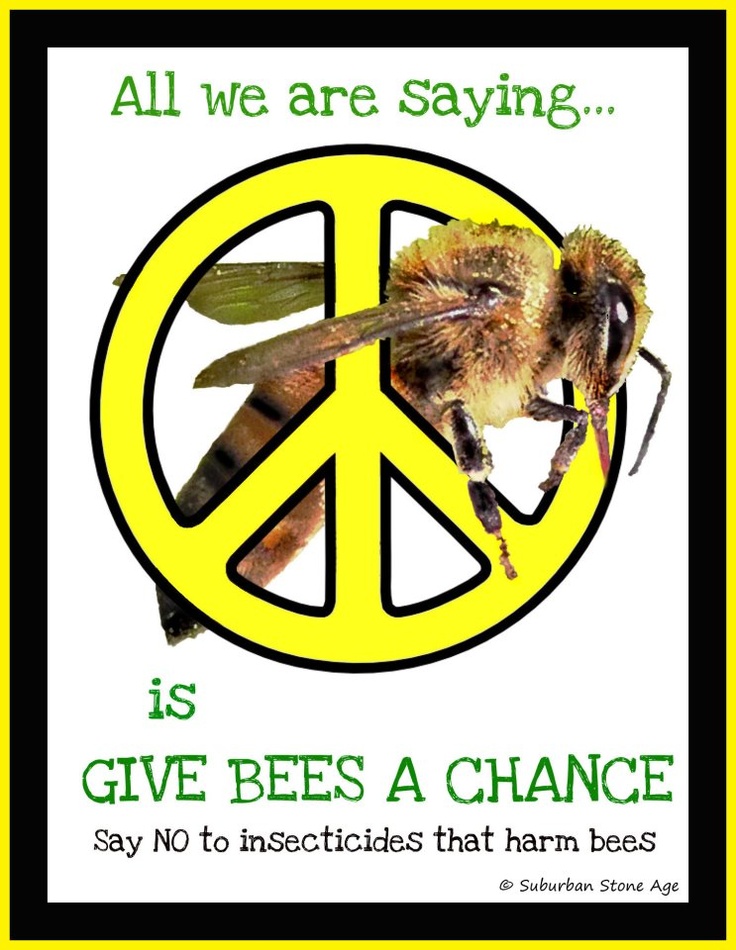 give bees a chance