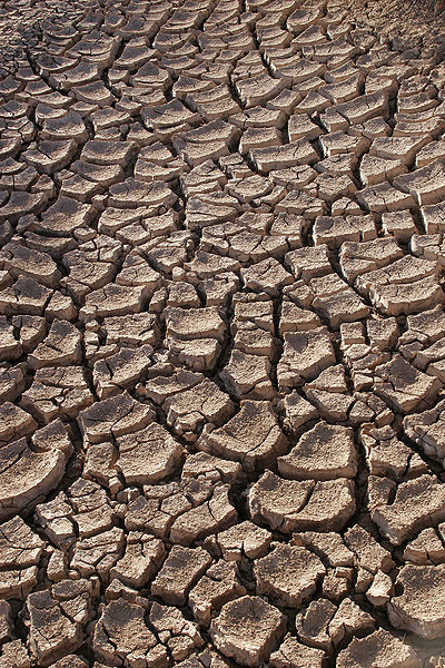 Dry earth in the Sonoran Desert, Mexico.